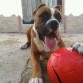 con la pelota que destrozo
