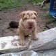 mi bb de 2 mese 