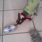 ´moinita  tomando cerveza
y  su  raton a  un ladO