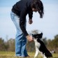 Acá estoy con Scott enseñándole algunos trucos, evidentemente es una raza muy inteligente ya que con solo trs meses de edad y un mes en casa, dándole una rutina diaria de 10 minutos, ya sabe bastantes trucos básicos como quieto, vení, sentado, salto, pasar a través de mis brazos en aro, dar la pata, down, muertito, girar y mirar a la izquierda o derecha según le pida y comer a la orden.  Es muy divertido.
