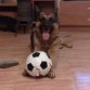 blade con una pelota, poco le duro, jeje
