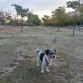 Parques para dar y tomar, bien cuidados y limpios, y donde además pueden pasear los perros... igualito que en Arganda...