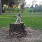 Esta vez en el parque del Príncipe de Cáceres, más grande todavía.