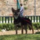 De paseo cerca del parque de mar.