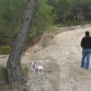 Duke más jovencito en otro de nuestros largos paseos. Le encantaba jugar con las piñas y buscar madrigueras. Un día encontró una de conejo.