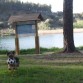 Jugando a la pelota.