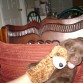 Aca jugando con mi peluche