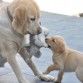 Jugando con mamá!!