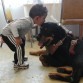 los mejores amigos del mundo <3 Mi hijo (Homero el rottweiler) y mi sobrinito Joshua #dontbullymybreed #dontbullymyrottweiler