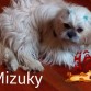 Mizuky mi bella BB