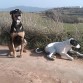 duna y golfo