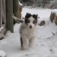 Super alegre. Nunca havia visto la nieve y esta auforico como los niños con la nieve.