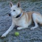 Bayron con su pelota