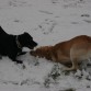 Jugando con mi amiga Tami en la nieve.