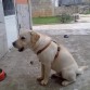 Jacinto con 9 meses