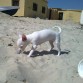 jugando en la playa