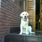 Rocco con cinco meses