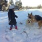 mi hermana pequeña y las dos perras jugando en la nieve.