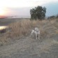 corriendo en el cerro