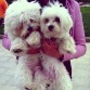 Oddie y Riti :)