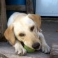 Jugando con su pelota a los 7 meses.... es un remolino mi nena,