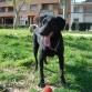 Él y su pelota, su pelota y él...