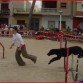 Campeonato de la Comunidad Valenciana de agility