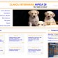 http://www.clinicaveterinariapedromoran.es/