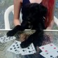 Jugando cartas con mi bebé <3