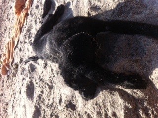 Mi hija consentida en la playita <3