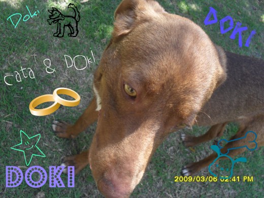 www.petlfog.com/Dokiokidoki
pasen!!!!
frimen!!!!!
los qiero!!!!!
♥DoKi♥