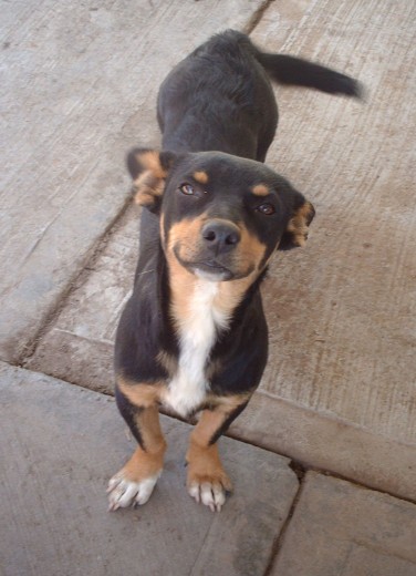 la cara amable y feliz del chaparrito, lo amamos!!!