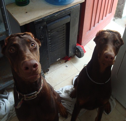 Marlon y Nice, hermanos