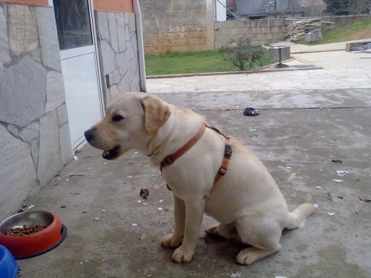 Jacinto con 9 meses