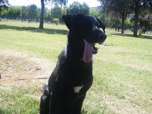 NENA en el campo