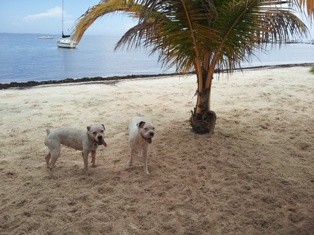 TOTA Y POPE  EN CANCUN