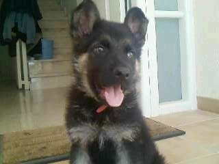 max con 3 meses casi