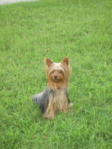 es ella posando jja