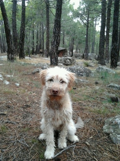 Posando en Albarracin