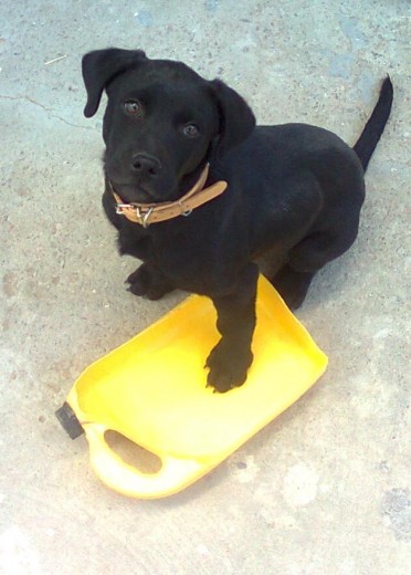 lucas jugando con un bote