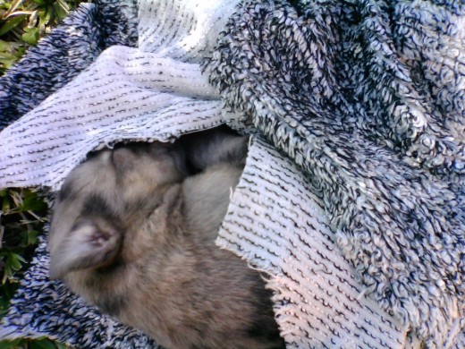 Mi bebe haciendo la siesta :)