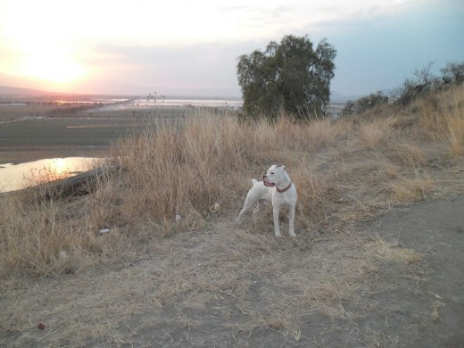 corriendo en el cerro