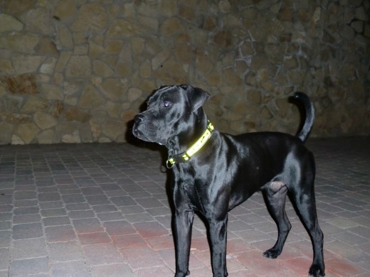 Estw¡e soy yo, dando un paseo por el parque, de noche!