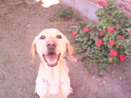 en esta foto camila esta feliz