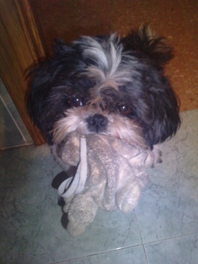 yacko con su peluche!!