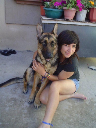 Aqui con mi hija Analy. El gran POKER,  era un perro muy juguetón a pesar de su tamaño el era como un niño juguetón, era parte de nuestra familia. Tan querido  Poker,  siempre te recordaremos! 