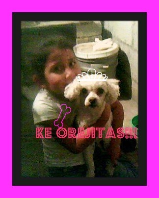 Mi perritaa!!! Punquitaa