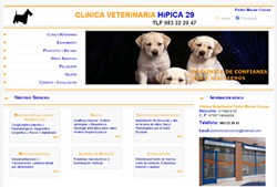 http://www.clinicaveterinariapedromoran.es/