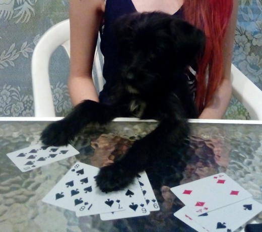 Jugando cartas con mi bebé <3