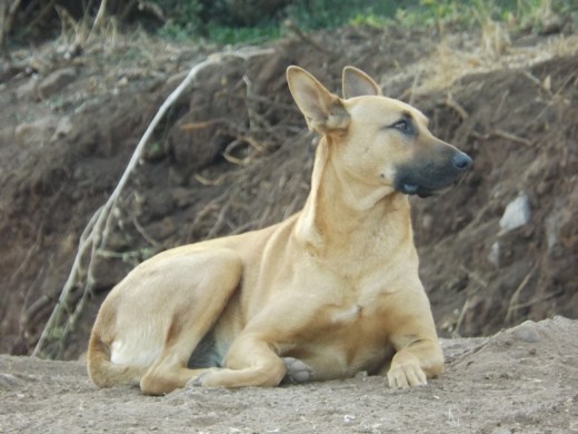 kony hechada mirando a sus amigos